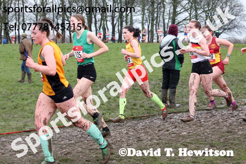 Senior girls 2019 New Balance English Schools Cross Country Champs, Temple Newsam, Leeds. Photo:  David T. Hewitson/Sports for All Pics